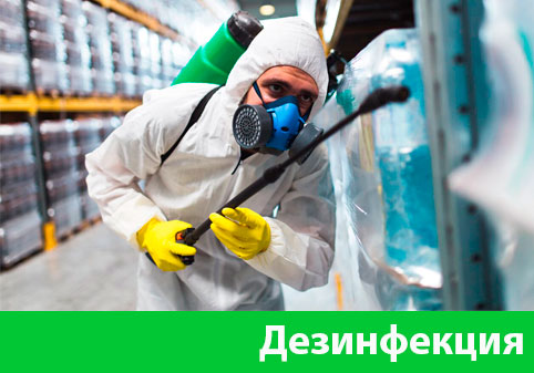 Дезинфекция в городе Севастополь