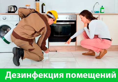 Дезинфекция офисов от коронавируса в городе Севастополь