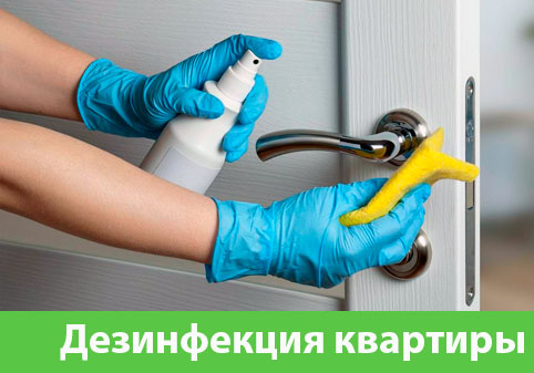 Дезинфекция квартиры в городе Севастополь