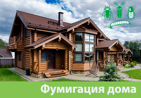 Преимущества обработки газом в городе Севастополь