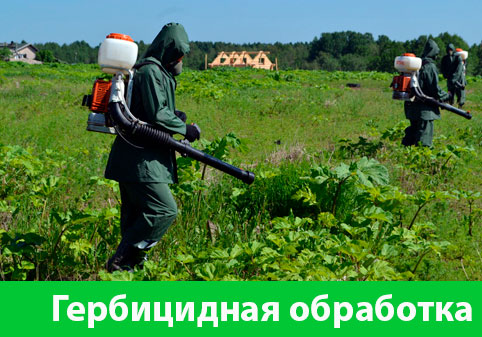 Гербицидная обработка в городе Севастополь