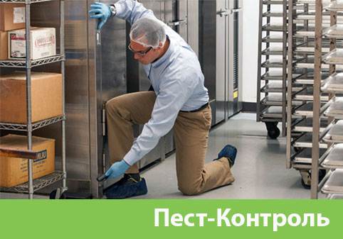 Пэст-Контроль в городе Севастополь