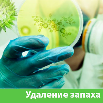 Удаление запахов в Севастополе