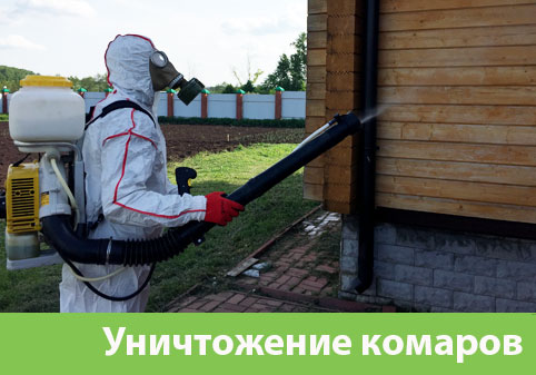 Уничтожение комаров в городе Севастополь